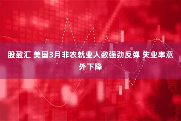 股盈汇 美国3月非农就业人数强劲反弹 失业率意外下降