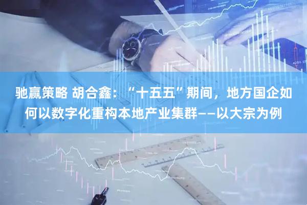 驰赢策略 胡合鑫：“十五五”期间，地方国企如何以数字化重构本地产业集群——以大宗为例